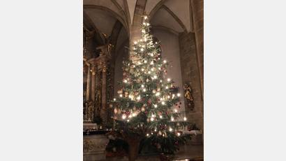 Bild: exb / Peter Ferner
m Altarraum der Stadtpfarrkirche steht zu Weihnachten eine schmucke Tanne. Zehn ehrenamtliche Helfer haben dort noch zwei weitere Christbäume geschmückt.