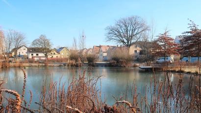 Bild: rha
Seit 17 Jahren gibt es wieder einen Schnellweiher, wenn auch in kleinerer Ausführung als vormals. Das inzwischen abgerissene Burgerhaus gibt den Blick frei bis zum Anwesen Fenk (Röipl). Rechts hinter den Bäumen ist ein kleiner Teil des Schulhauses zu sehen.