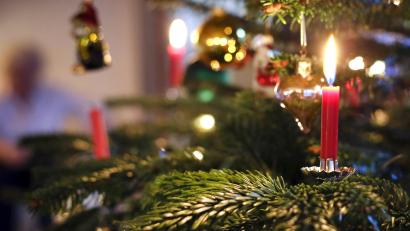 Symbolbild: Karl-Josef Hildenbrand/dpa
Kerzen brennen an einem festlich geschmückten Christbaum.