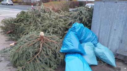 Bild: tk
Diese Aufnahme entstand am 11. Januar 2020 an der Merianstraße in Amberg. Die Stadt möchte nicht, dass sich wilde Ablagerungen wie diese wiederholen.