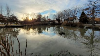 Bild: rha
Hoffnungsfroher Lichtblick am Schnellweiher bei Vilseck