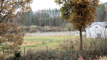 Bild: akp
Rund 25 Prozent des aus der Gemeinde Altendorf eingeleiteten Abwassers entfallen auf Niederschlagswasser in Form von Regen. Das hat jetzt eine "gesplittete Abwassergebühr" zur Folge.