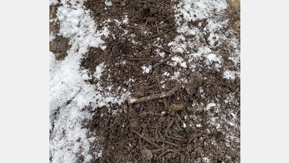 Bild: rn
Mit einem Asche-Nägel-Gemisch bedachte ein Entsorger einen Feldweg bei Breitenlohe.