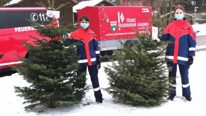 Bild: Portner
Die Jugendfeuerwehr Teunz sammelt am 15. Januar die mit Wertmarken versehenen Christbäume in der Gemeinde Teunz ein. Diese zwei bereits aus der Wohnung geflogenen Bäume landen nach dem Pressefoto schon im Hänger.
