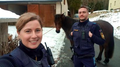 Bild: Polizei Marktredwitz/exb
Auf "Pferdejagd" war die Polizei im Landkreis Wunsiedel.