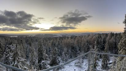 Bild: ak
Schmuckbild Steinwald