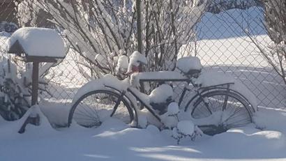 Bild: gru
Wintermotive aus Garten und Natur prämiert der Gartenbauverein Edelsfeld bei seinem Fotowettbewerb. Dieses Beispiel bedeutet aber nicht, dass auf den Bildern Schnee zu sehen sein muss.