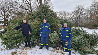 Bild: THW Nabburg/exb
Rund 1000 Christbäume sammelten das Technische Hilfswerk und die Freien Wähler.