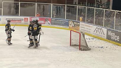 Bild: brü
Die Amberger Spieler haben allen Grund zum Jubeln.