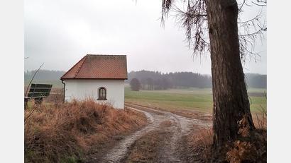 Bild: Peter Schön/Stadt Tirschenreuth/exb
Eine Mehrheit sprach sich gegen die Fällung einer Lärche nahe Wondreb aus.