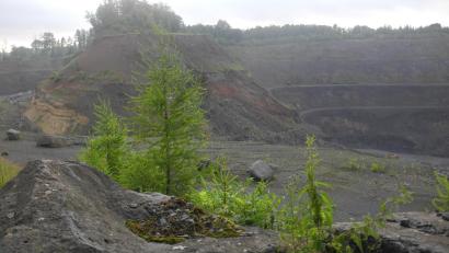 Archivbild: as
Nach dem Ende des Basaltabbaus am Hirschentanz (Bild) folgt das Aus für die Verwaltung der Hartsteinwerke Bayern-Mitteldeutschland in Steinmühle.