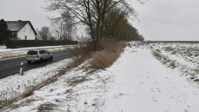 Bild: Petra Hartl
Der Lückenschluss des geplanten beidseitigen Radwegs zwischen dem ehemaligen Bundeswehrkrankenhaus in Amberg und Köfering in Höhe des dortigen Bauernhofs soll in Angriff genommen werden.