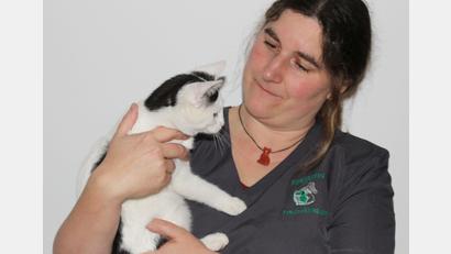Bild: fks
Kerstin Stobrawe ist Tierärztin für Kleintiere, mit Katzen hat sie tagtäglich zu tun. "Nairobi" ist eines von drei Geschwistern, die derzeit bei ihr zu Hause die Wohnung unsicher machen.
