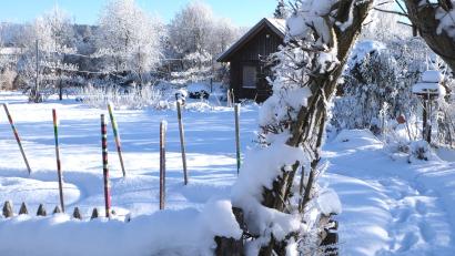 Bild: le
Der Kreislehrgarten an der Vohenstraußer Straße präsentiert sich im Winterkleid.