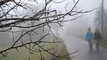 Bild: Bernd Thissen
Zwei Spaziergänger gehen bei Regen auf einer Straße entlang. Foto: Bernd Thissen/dpa/Symbolbild
