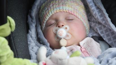 Bild: Gabi Schönberger
Im Landkreis Neustadt gibt es erneut einen kleinen Babyboom.