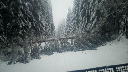 Bild: Manfred Gleißner
Die hohe Last und Vereisung auf den Bäumen haben zu Schneebrüchen im Loipenbereich an der Silberhütte geführt.