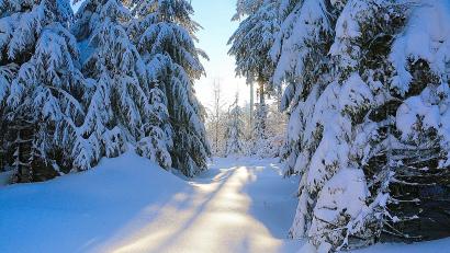 Symbolbild: bsc
Winter-Wunderland Steinwald. Von der Erhöhung des Mitgliedsbeitrags ist auch die Gemeinde Brand betroffen.