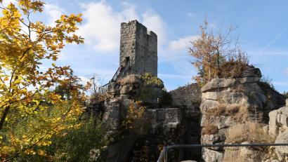 Archivbild: bsc
Die Burgruine Weißenstein ist eines der beliebten Wanderziele im Steinwald. Pflegemaßnahmen, Besucherlenkung und Artenschutz erfordern großen Einsatz im Naturpark. Um die Neuausrichtung zu finanzieren, bittet man die Mitgliedsgemeinden um einen höheren Beitrag.