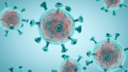 Bild: dowell
Um das neuartige Coronavirus und die Pandemie gibt es zahlreiche Falschinformationen und Halbwahrheiten