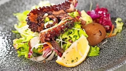 Symbolbild: Franziska Gabbert/dpa
Pulpo in verschiedensten Variationen, aber auch andere Meeresfrüchte oder Gemüse-Tapas und Gegrilltes – die spanische Küche, speziell die galicische, soll im nächsten Jahr in Marktredwitz Einzug halten.