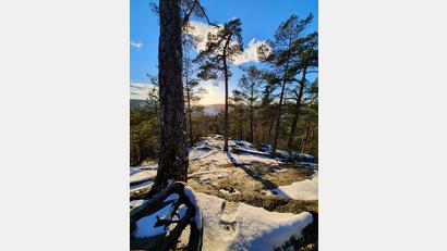 Bild: ak
Steinwaldidylle