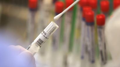 Symbolbild: Oliver Berg/dpa
Ein Abstrich wird in einem Labor auf das Coronavirus untersucht.