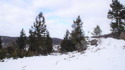 Bild: mmj
Selbstwerbern werden 19 Bäume am Hochfels per Los zugeteilt.