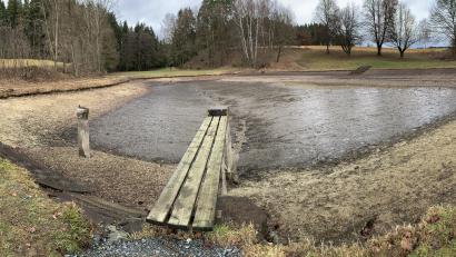 Bild: Gabi Schönberger
Dürfen im Störnsteiner Weiher künftig auch Hunde baden? Der Gemeinderat ist sich nicht auf Anhieb einig. Die Diskussion wird fortgesetzt.