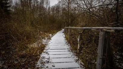Archivbild: Müller, Peter
Über Heilig Drei König sinken die Temperaturen in der Oberpfalz.