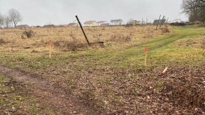 Bild: Wilhelm Amann
Auf diesem Hang, der sich zwischen Neusather Straße (Bebauung im Hintergrund) und Kurmhofbach erstreckt, liegt das neue Perschener Baugebiet.