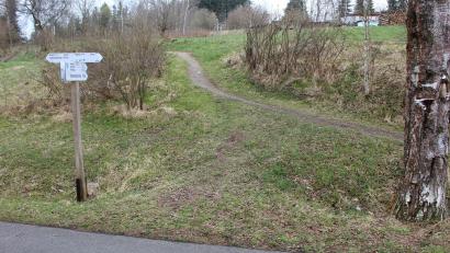 Bild: soj
In der Nähe der Selingau soll der Fahrradweg an das Freibad Selingau angebunden werden. Möglich macht es der Zuschuss aus dem Budget der Steinwald-Allianz.