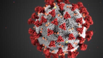 Symbolbild: Centers for Disease Control and Prevention illustration
Die Corona-Inzidenzen steigen kontinuierlich an.