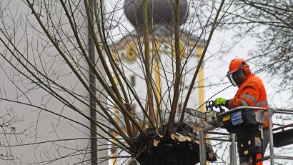 Bild: Gabi Schönberger
Jedes Jahr im Februar werden die Kopfweiden im Stadtgebiet zurückgeschnitten. In dieser Woche war es wieder soweit.