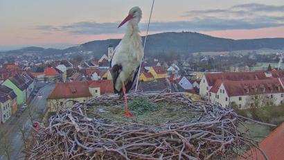 Bild: Stadt Pfreimd/exb
Der Storch ist am Samstag gesichtet worden: Dank Webcam der Stadt bietet sich nicht nur ihm ein reizvolles Stadtpanorama.