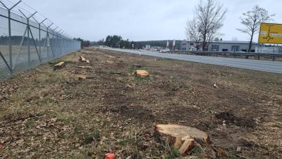 Bild: sne
Die Baumreihe und die Büsche zwischen Flugplatz und Bundesstraße 299 wurden abgeholzt.