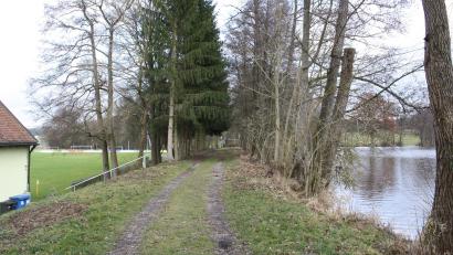 Bild: bjp
Die wasserseitige Böschung ist infolge Erosion zu steil, Baumwurzeln könnten die Stabilität beeinträchtigen: Auch im Hinblick auf befürchtete häufigere Hochwassersituationen will die Gemeinde den Damm des 131 Jahre alten Heindlweihers befestigen.