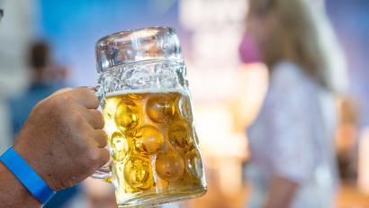 Symbolbild: Armin Weigel/dpa
Bier gehört in Bayern zu vielen Festen dazu. Der Klimawandel setzt die traditionellen Hopfensorten zu.