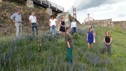 Bild: br
Zusammen mit Landrat Roland Grillmeier (zweiter von links) unternahm eine Gruppe aus Kräuter-, Wald- und Wildnisexperten, darunter auch Elisabeth Zintl (ganz rechts) bei den 3. Waldecker Wilden Tagen eine Wanderung entlang des Essbaren Wildpflanzenparks Waldeck.