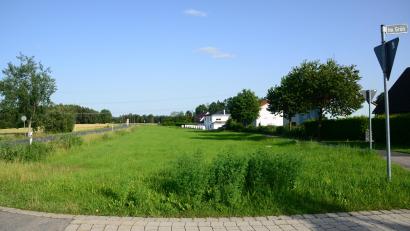 Bild: bey
Die Grünfläche wird zum neuen kleinen Baugebiet mit sechs Bauparzellen. Der Marktgmeinderat hat den Bebauungsplan "Weidener Straße - Grün" als Satzung beschlossen.