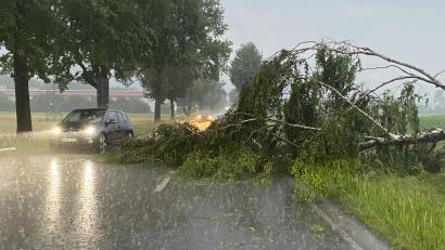 Symbolbild: Bernd März/dpa
Überwiegend umgestürzte Bäume mussten die Feuerwehren am Donnerstag beseitigen. Zu größeren Verkehrsbehinderungen kam es nicht. .