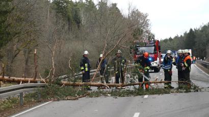 Bild: gf
Auf der Staatsstraße 2164 nahe der Abzweigung nach Aichazandt im Waldgebiet Wagensaß streifte ein umstürzender Baum ein Auto. Die Feuerwehr musste den Baum zersägen, damit die Straße wieder für den Verkehr freigegeben werden konnte.