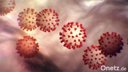 Bild: Center for Disease Control/Planet Pix via ZUMA Wire/dpa
Die 7-Tage-Inzidenzen in Weiden und im Landkreis Neustadt/WN machen einen Sprung nach oben.
