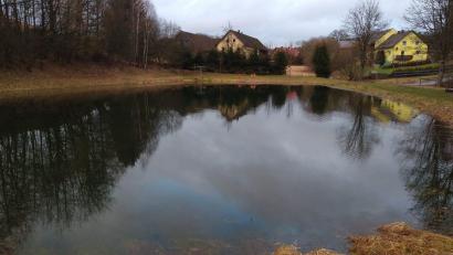 Bild: wel
Mit einigen Sanierungsmaßnahmen könnte der Badeweiher in Fuchsberg wieder zur Attraktion werden.