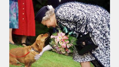 Archivbild: epa PA/dpa
Die britische Königin Elizabeth II. streichelt einen ihrer Corgi-Hunde.