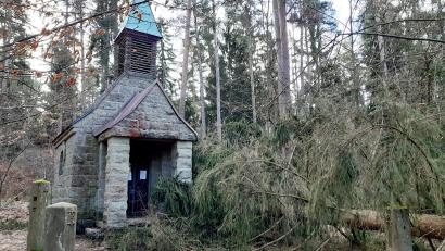 Bild: Süß/exb
Wie ein Sinnbild der vergangenen beiden Stürme liegen zwei dicke Fichten vor der Türe der Kapelle Heilige Staude im Südosten von Weiden. Das Unwetter "Zeynep" löste in Weiden und im Kreis Neustadt/WN zwar etliche Einsätze im Minutentakt aus, zu schwerwiegenderen Schäden kam es laut ILS aber nicht.