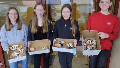 Bild: Realschule Auerbach/exb
Als erfolgreiche Teilnehmer am Pilz-Projekt der Auerbacher Realschule präsentieren sich (von links) Tamina Hecht, Marlene Dauth, Nadine Reisner und Lukas Gutte.