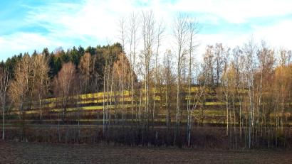 Bild: fjo
Besonderheiten im östlichen Landkreis wie die Terassenfelder am Bocklweg nahe Pleystein sind noch relativ unbekannt. Ihnen soll durch ein neues Konzept künftig verstärkt das Augenmerk gehören.