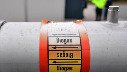 Symbolbild: Martin Schutt/dpa
Der Anteil der Biomasse am Gesamtstromverbrauch im Landkreis Tirschenreuth liegt laut Energieatlas Bayern bei 38 Prozent.