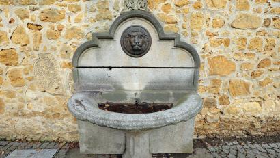 Bild: Wolfgang Steinbacher
Aus diesem Brunnen an der Stadtmauer in Höhe des Malteserplatzes könnte schon bald frisches Trinkwasser fließen.